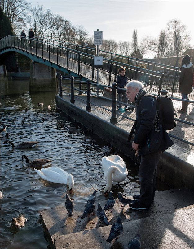 Eel Pie Island, London, by Stephanie Sadler, Little Observationist