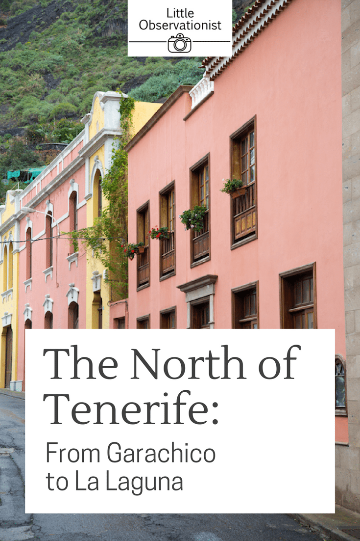 North of Tenerife by Stephanie Sadler, Little Observationist