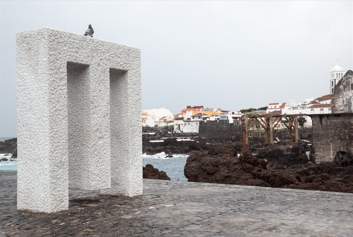 North of Tenerife by Stephanie Sadler, Little Observationist