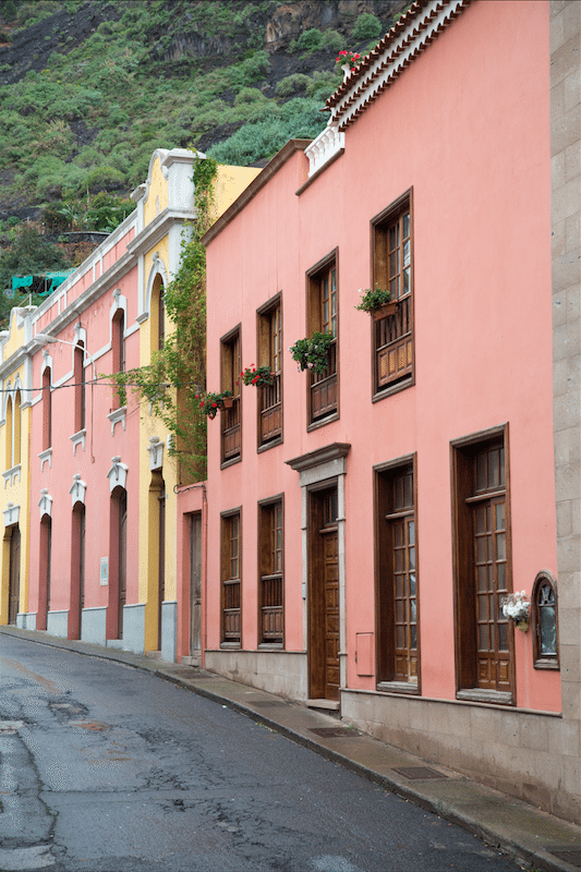 North of Tenerife by Stephanie Sadler, Little Observationist