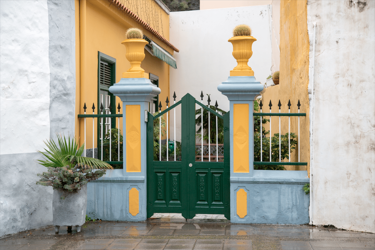 North of Tenerife by Stephanie Sadler, Little Observationist