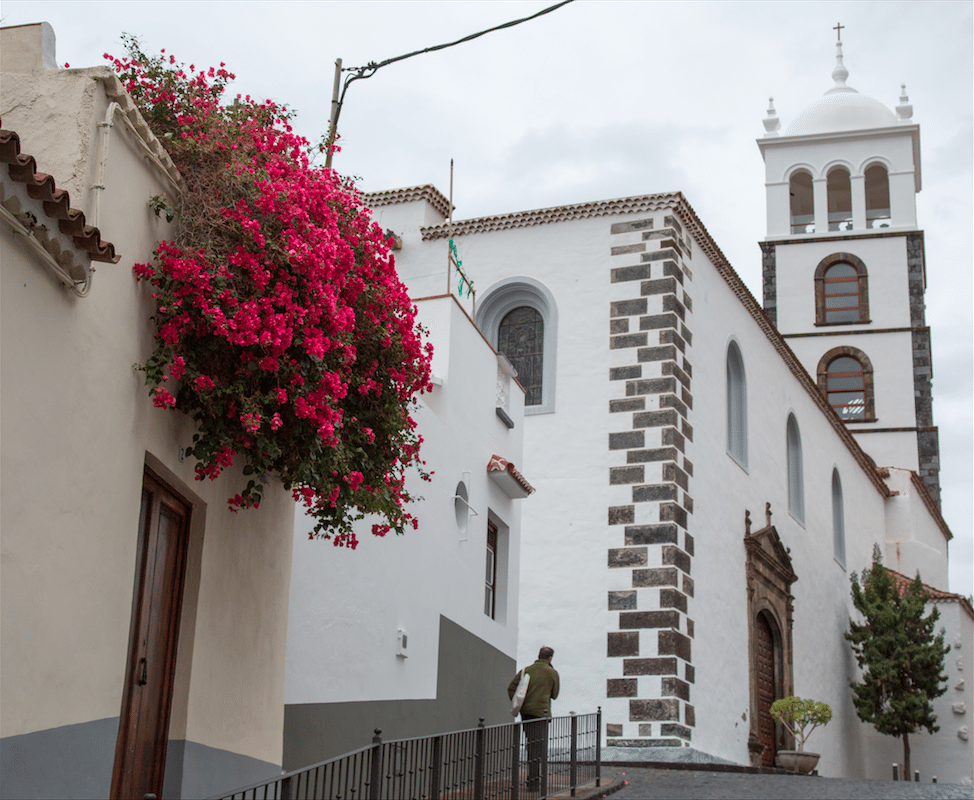 North of Tenerife by Stephanie Sadler, Little Observationist