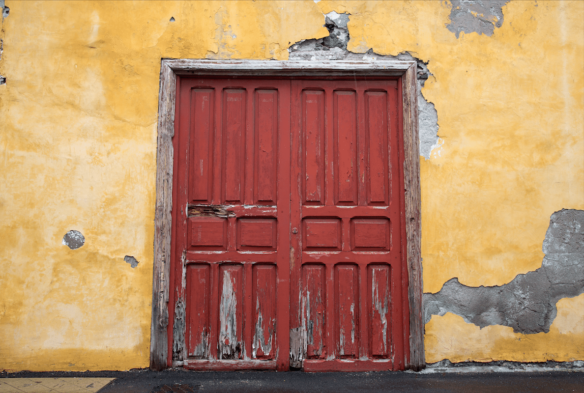 North of Tenerife by Stephanie Sadler, Little Observationist