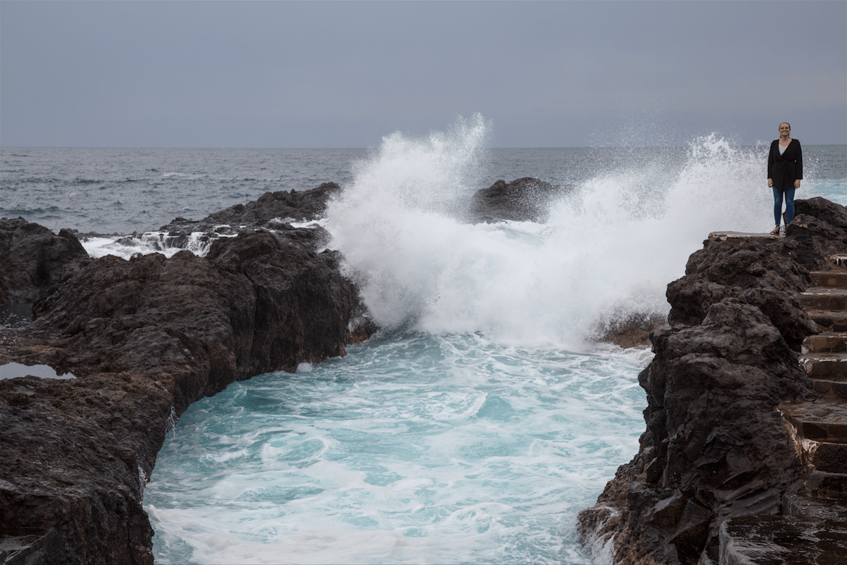 North of Tenerife by Stephanie Sadler, Little Observationist