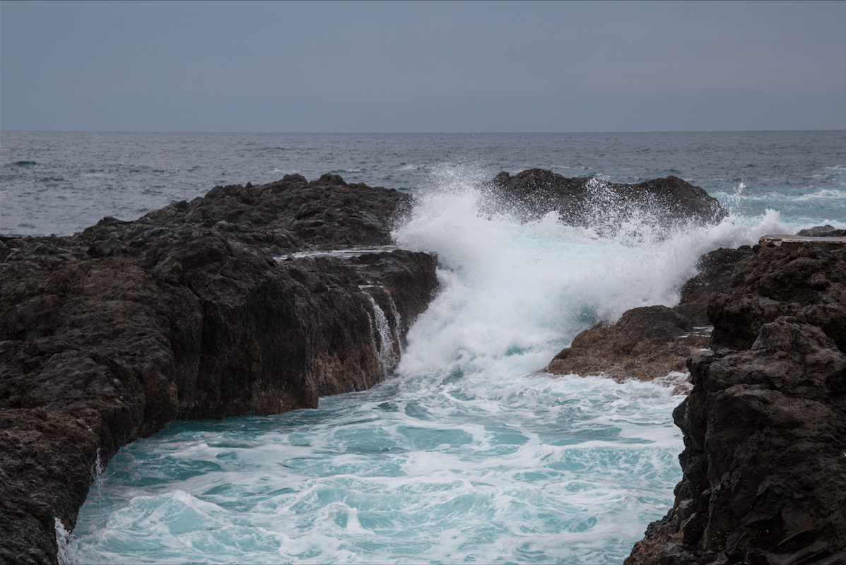 North of Tenerife by Stephanie Sadler, Little Observationist