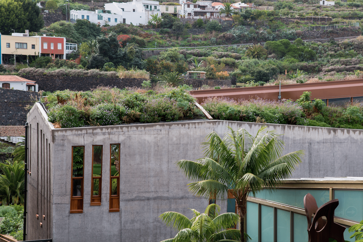 North of Tenerife by Stephanie Sadler, Little Observationist