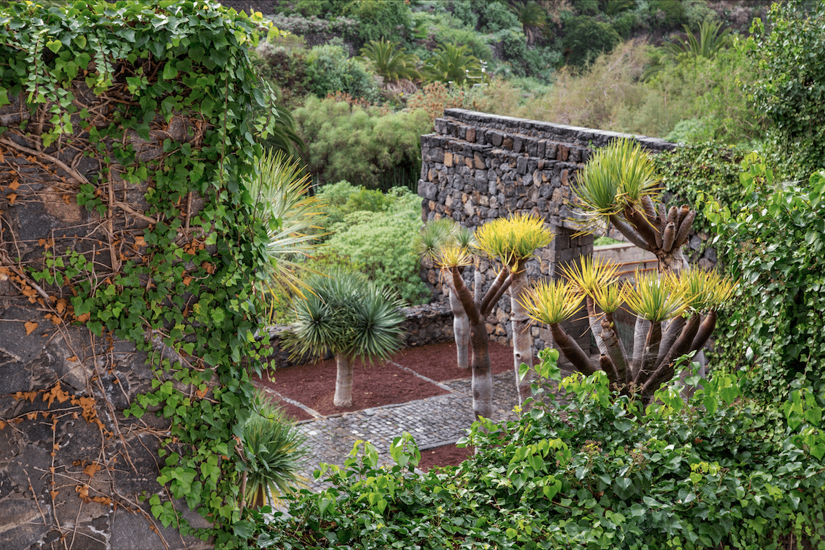 North of Tenerife by Stephanie Sadler, Little Observationist