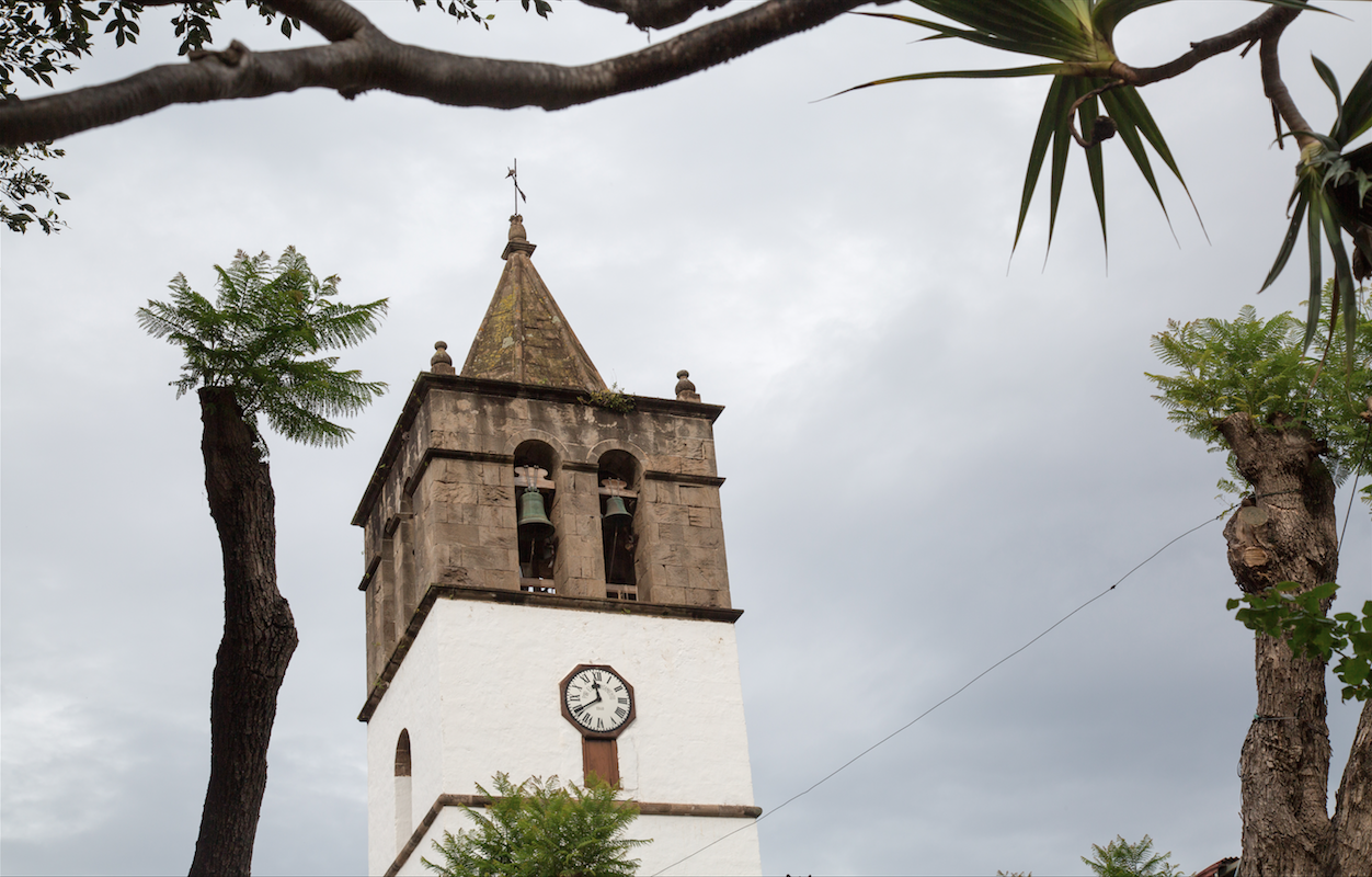 North of Tenerife by Stephanie Sadler, Little Observationist