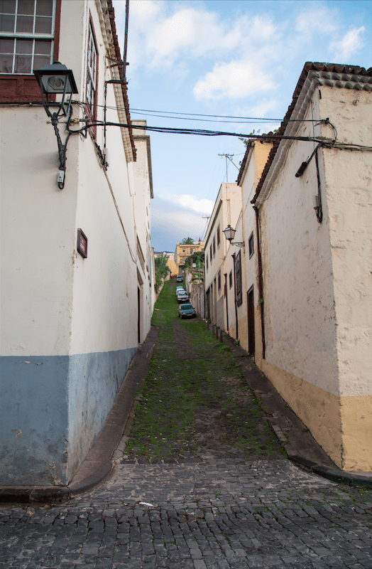 North of Tenerife by Stephanie Sadler, Little Observationist