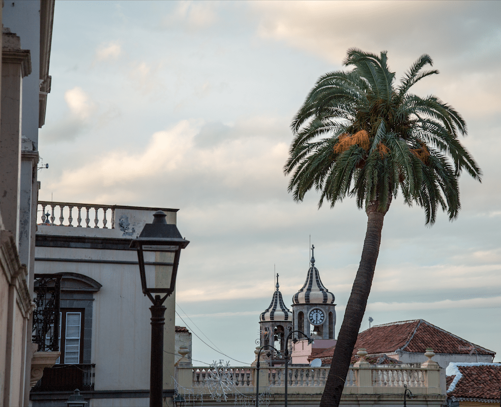 North of Tenerife by Stephanie Sadler, Little Observationist