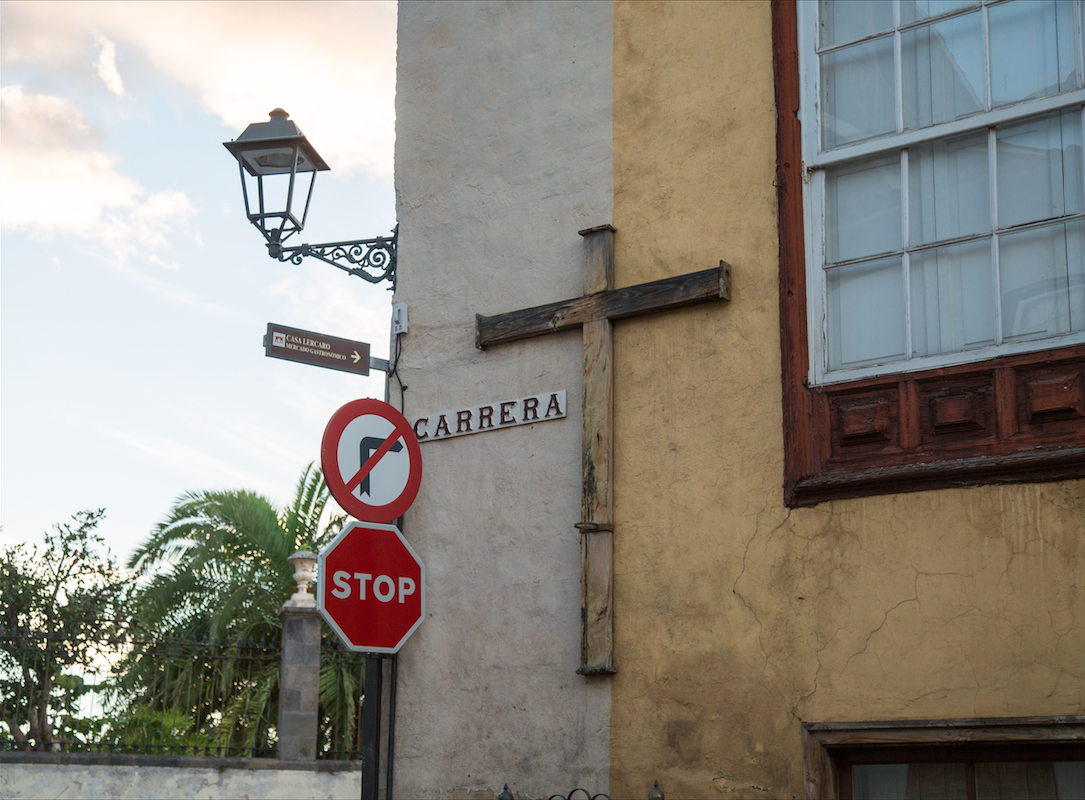 North of Tenerife by Stephanie Sadler, Little Observationist