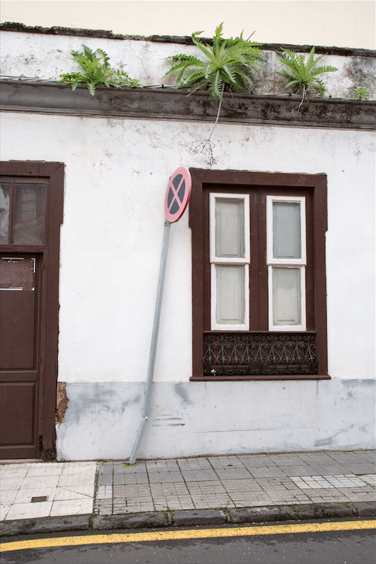 North of Tenerife by Stephanie Sadler, Little Observationist