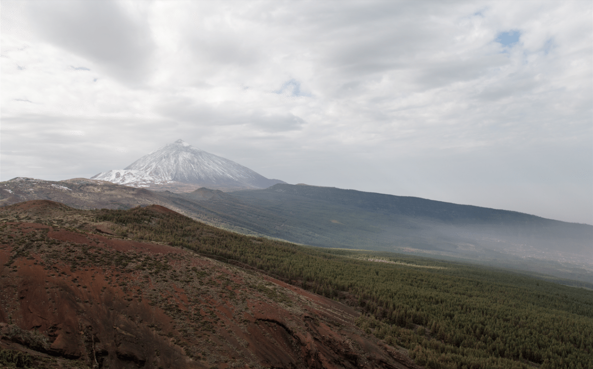 Exploring Tenerife by Stephanie Sadler, Little Observationist