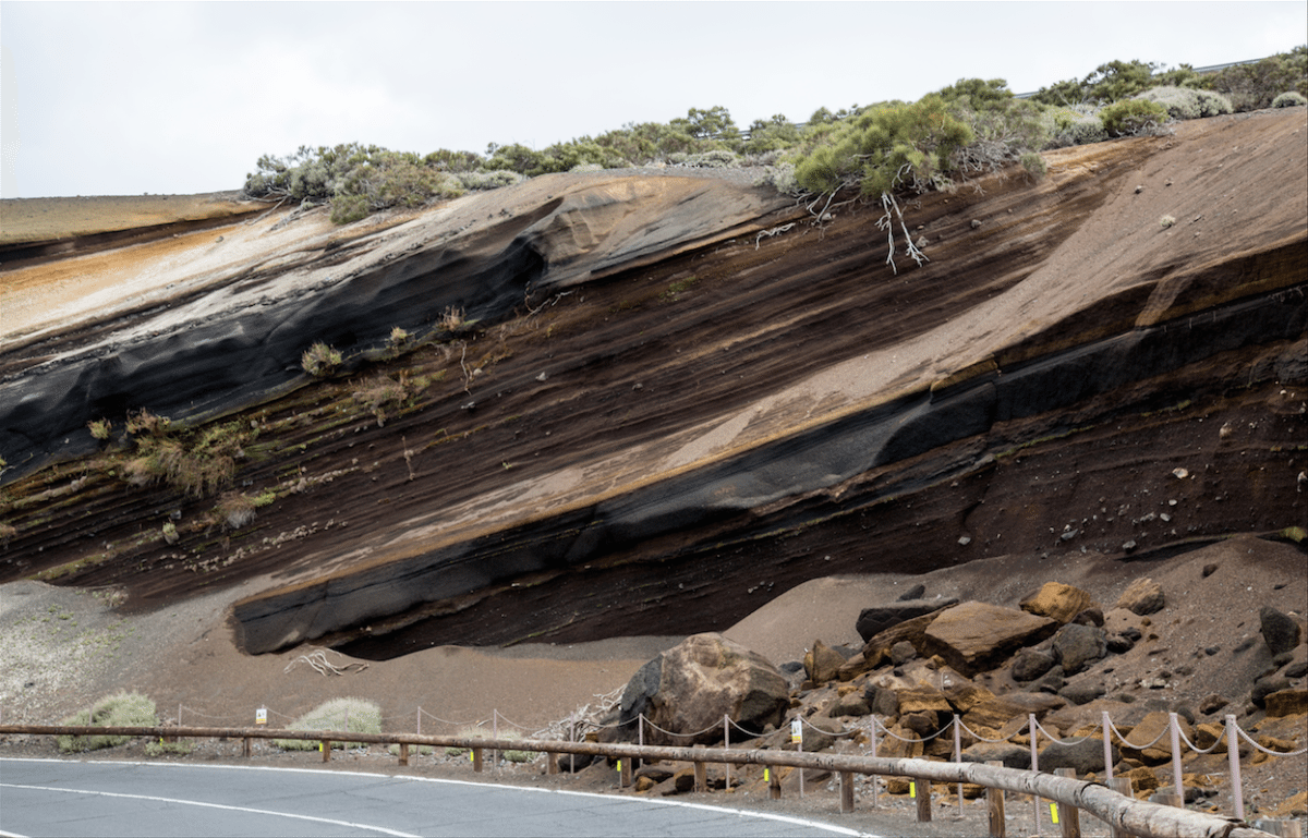 Exploring Tenerife by Stephanie Sadler, Little Observationist