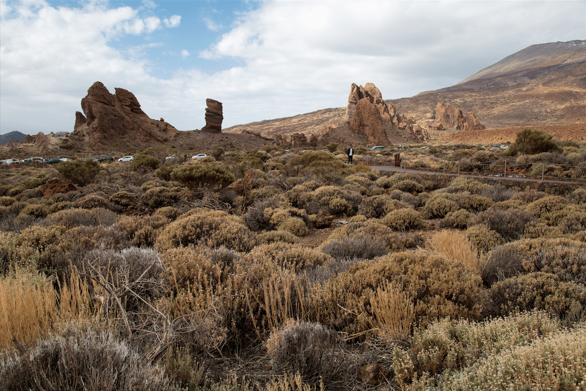 Exploring Tenerife by Stephanie Sadler, Little Observationist