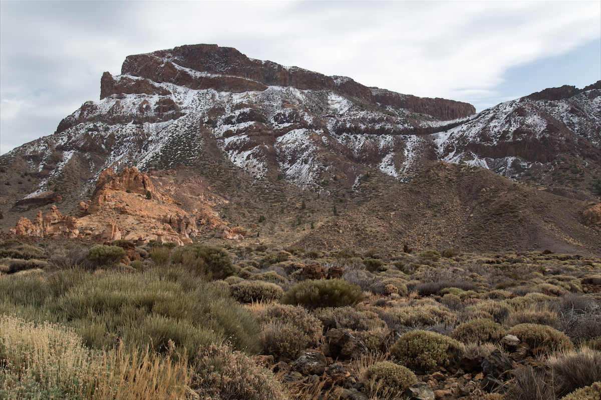 Exploring Tenerife by Stephanie Sadler, Little Observationist