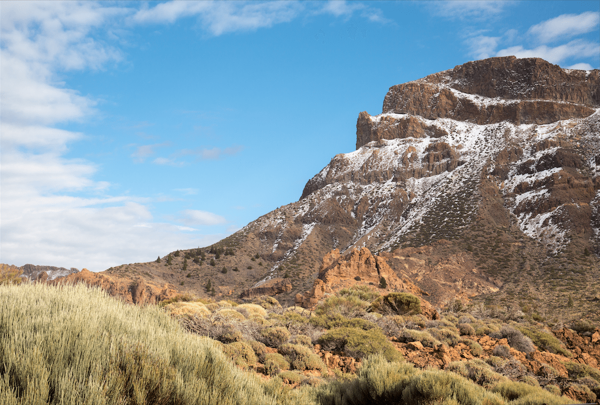 Exploring Tenerife by Stephanie Sadler, Little Observationist