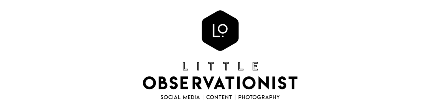 Little Observationist