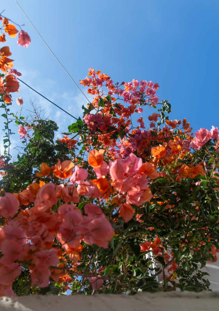 Exploring Greece: Old Town, Naxos - Little Observationist