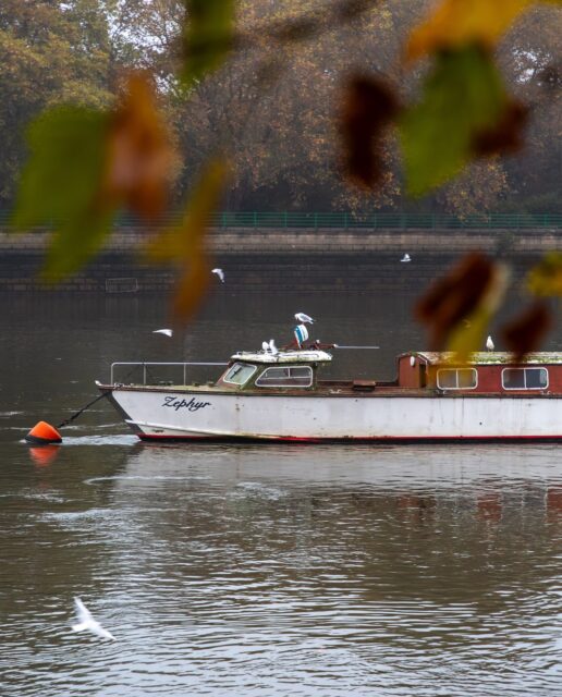 Missing my tree-lined Putney walks, the misty moody Thames, and a good cup of tea to take along with me ❤️

———

[Pics from my London trip in November]